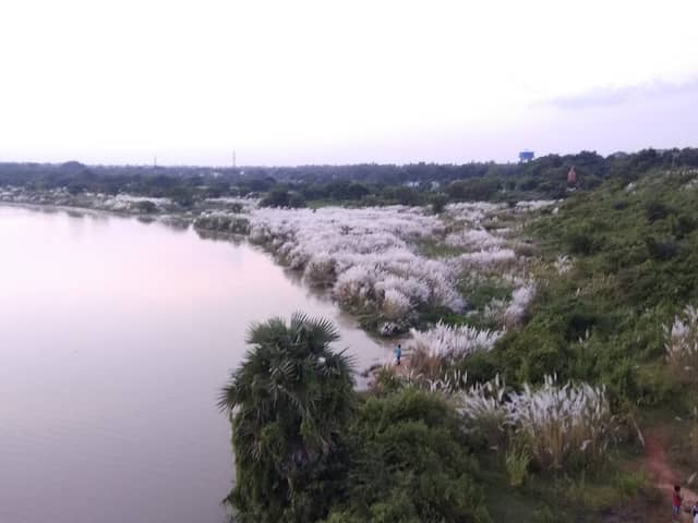 Kangsabati River Viewpoint - Image 1