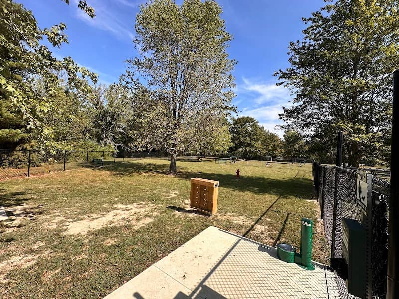 Canine Playground - Image 1
