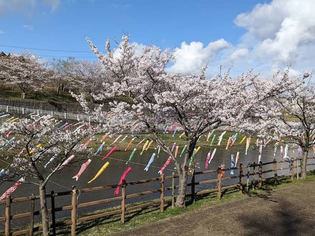 Kozunomori Park - Image 1