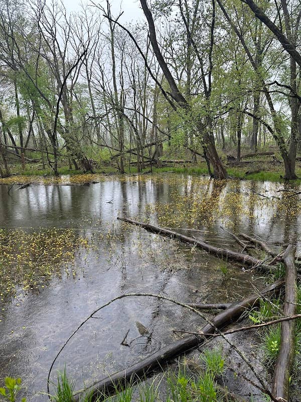 Helm Woods Forest Preserve - Image 2