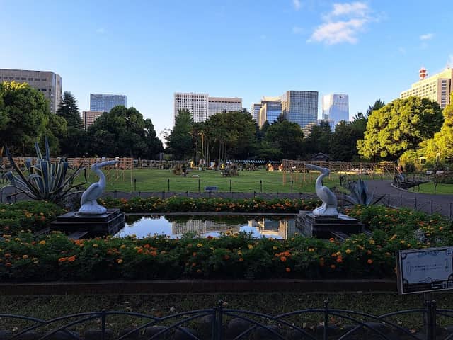 Pelican Fountains - Image 3