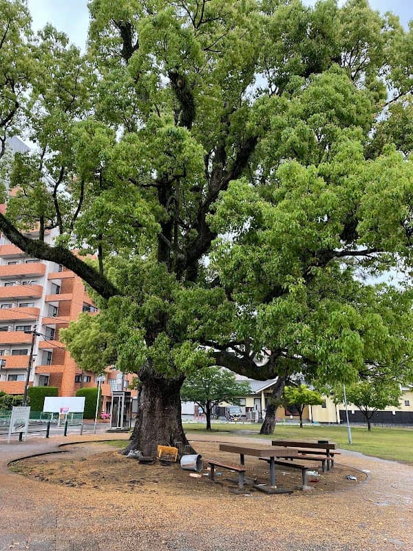 Kaimonji Park - Image 2