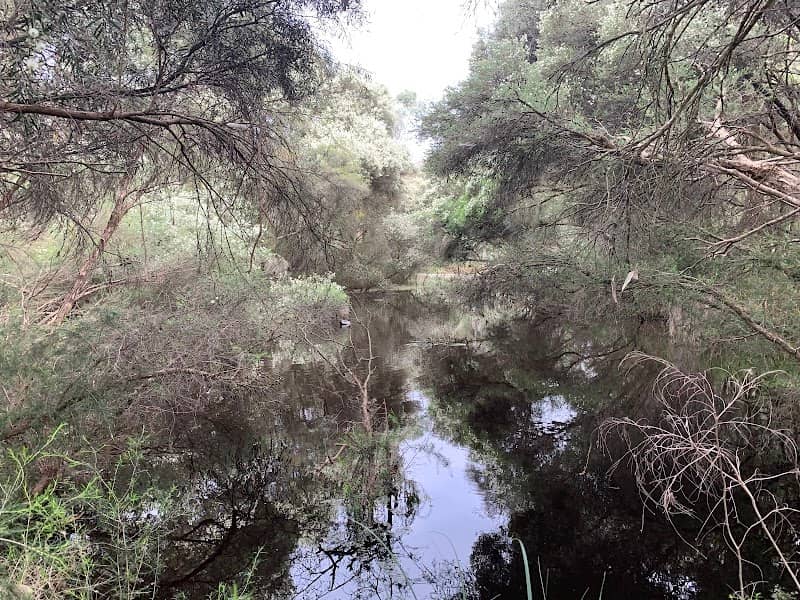 Ashwood Wetlands - Image 2