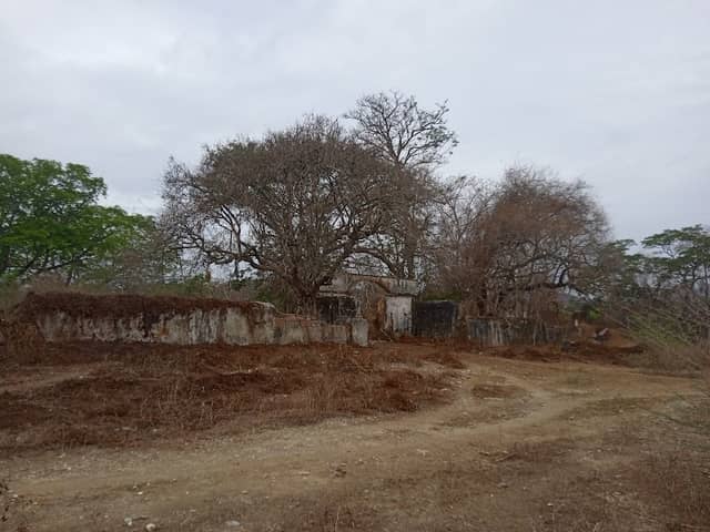 Hacienda Las Monjas (Ruinas) - Image 1