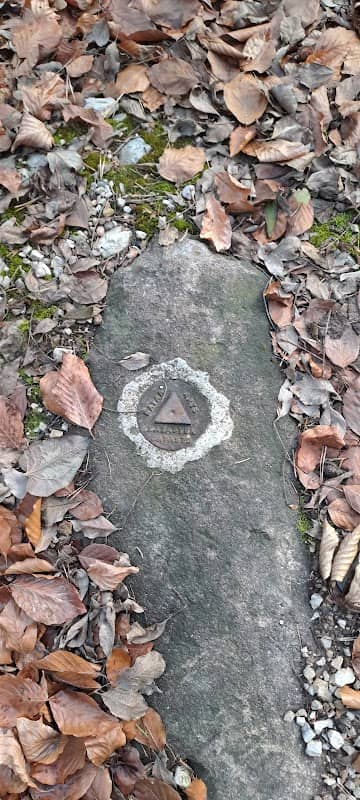 Kastasterstein Eichberg - Image 1