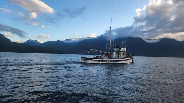 Robson Bight Ecological Reserve - Image 3