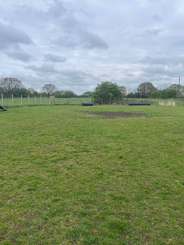 Doggy Adventure Parks - Image 1