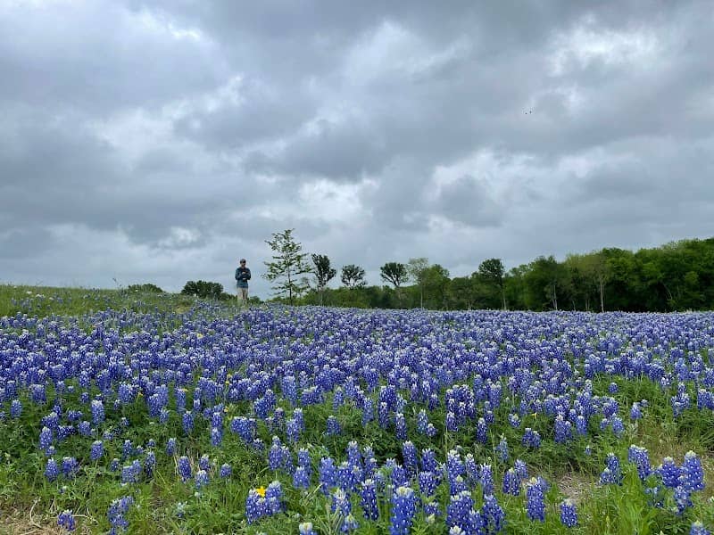 Veterans Memorial Park - Image 1