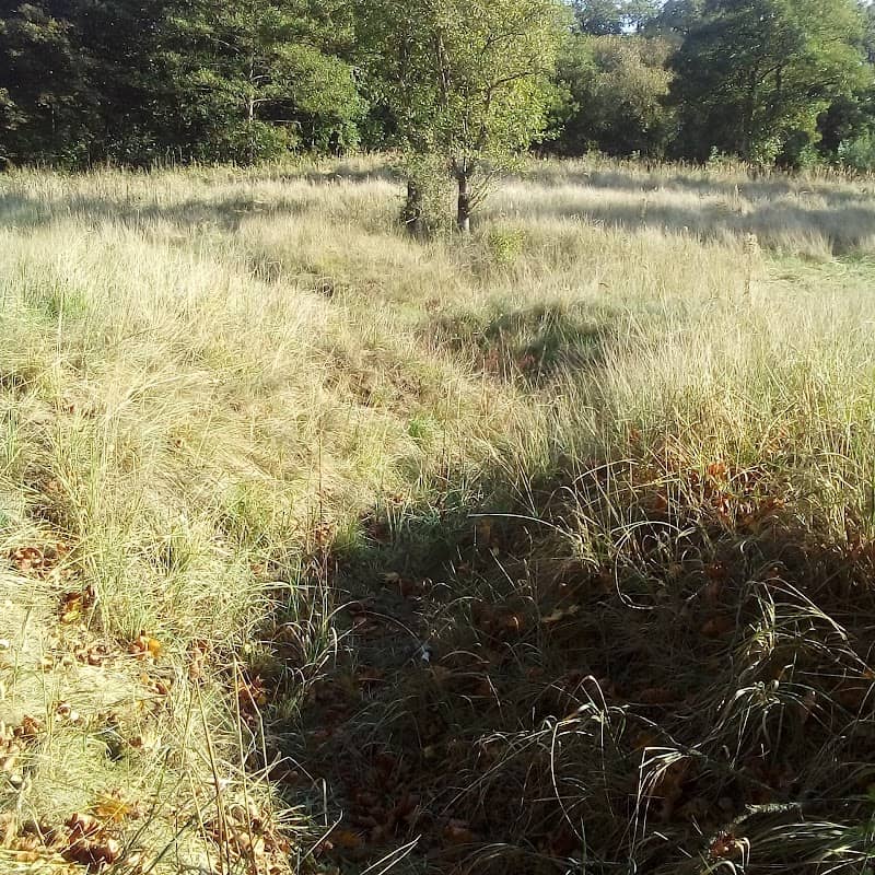 Giżycko transzeje nad kanałem Niegocińskim - Image 1