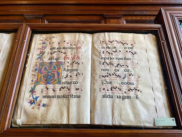 Piccolomini Library - Image 2
