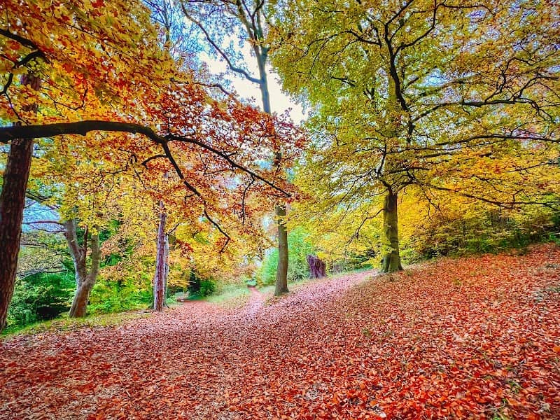Popes Meadow - Image 1
