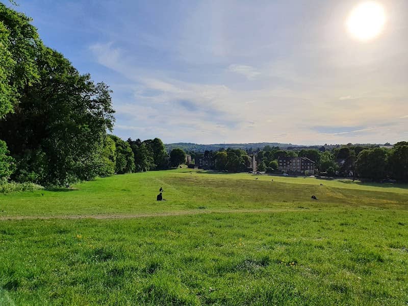 Popes Meadow - Image 3