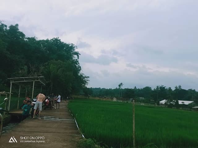 Wisata nongkrong senja - Image 1