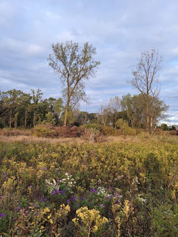 Boloria Meadows-The Land Conservancy of McHenry County - Image 1