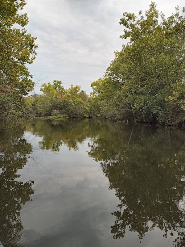 Skeleton Island - Image 2