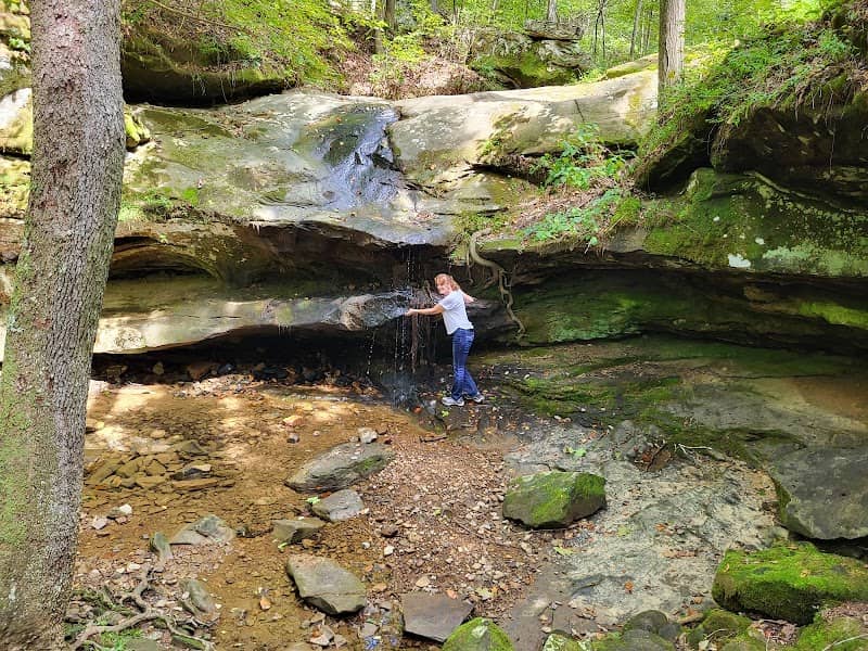 Pennyrile Forest - Image 1
