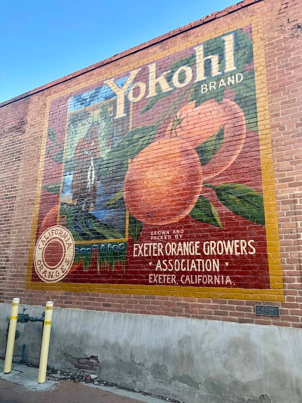 Mural--Yokohl Brand - Image 1