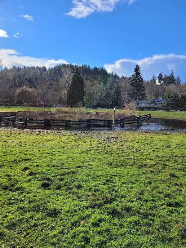 Colwood Creek Dog Park - Image 2