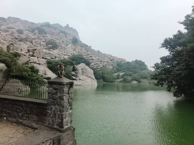Chakkarakulam Tank (சக்கர குளம்) - Image 1