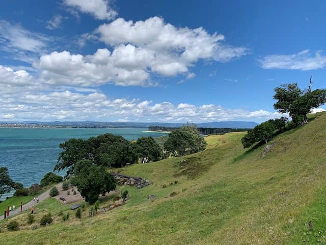 Mount Maunganui Watertower - Image 3