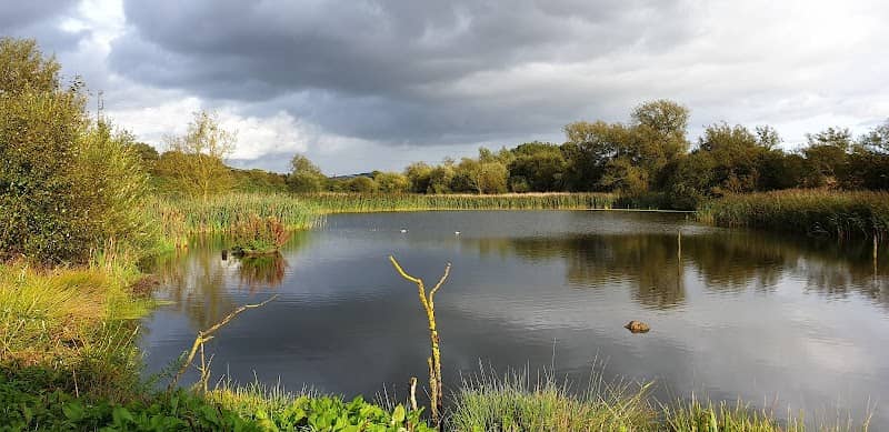 Kelham Bridge Nature Reserve - Image 2