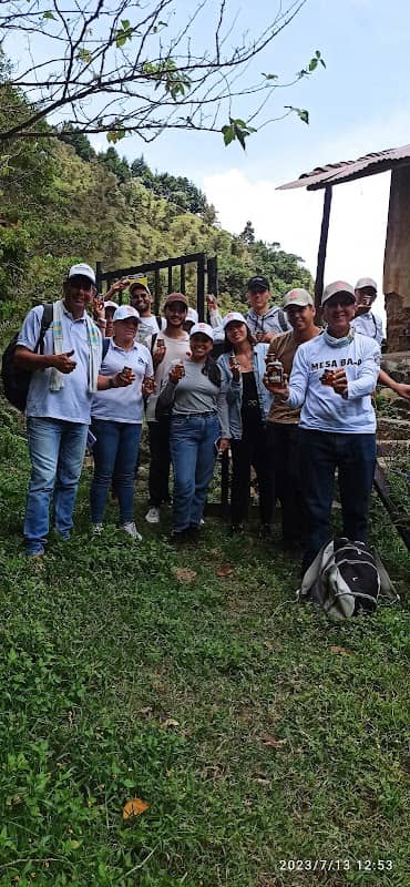Ruta de las abejas DulceApis - Image 2