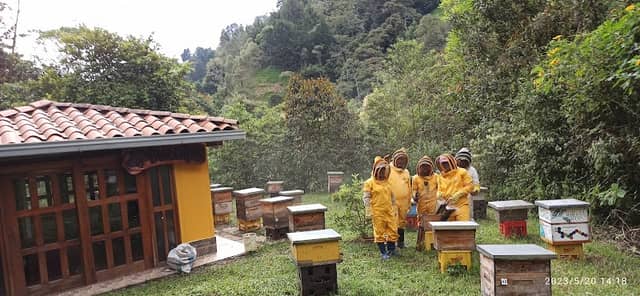 Ruta de las abejas DulceApis - Image 1