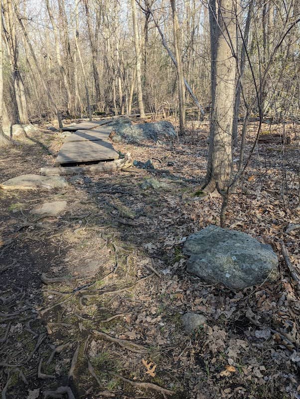 Webster Conservation Area - Image 2