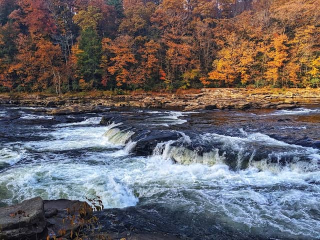 Ohiopyle Falls Observation Deck - Image 3