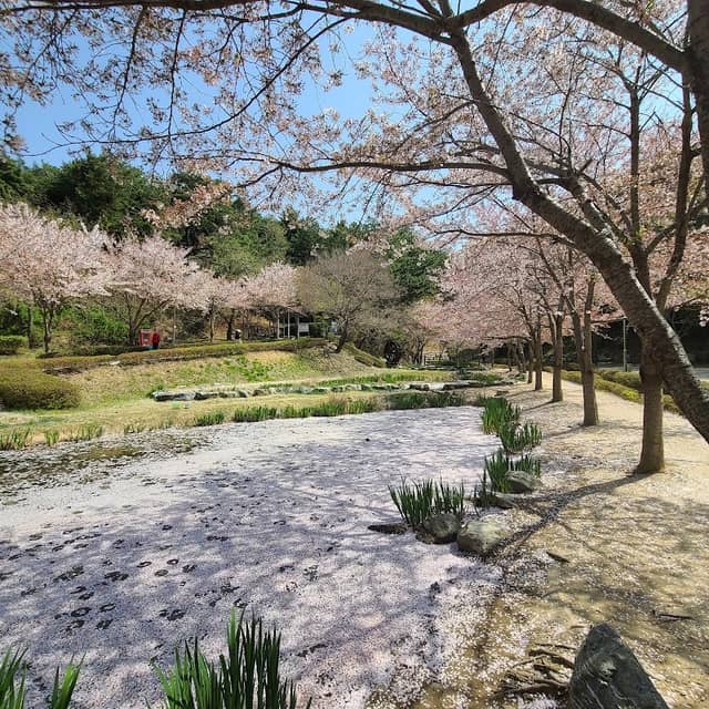 화동못수변공원 - Image 1