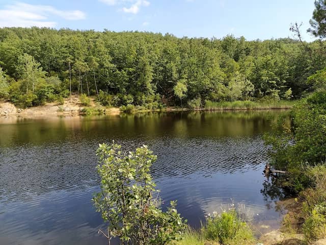 Lago San Zanobi - Image 1