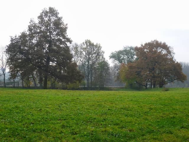 Louky - Image 1
