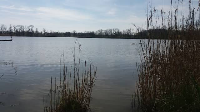 Louky - Image 2