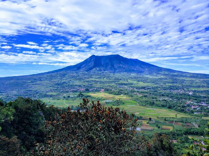 Wisata Bukit Tanjua - Image 1