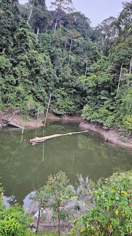 Hornbill Valley - Image 1