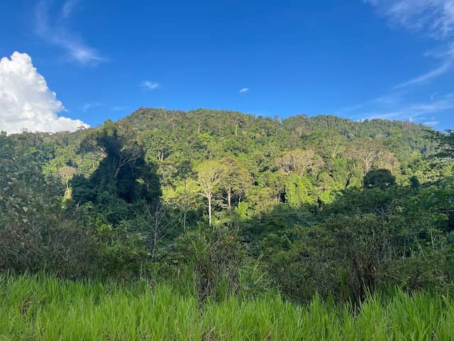 Hornbill Valley - Image 2