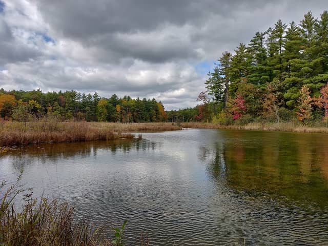 Coolbough Natural Areas - Image 1