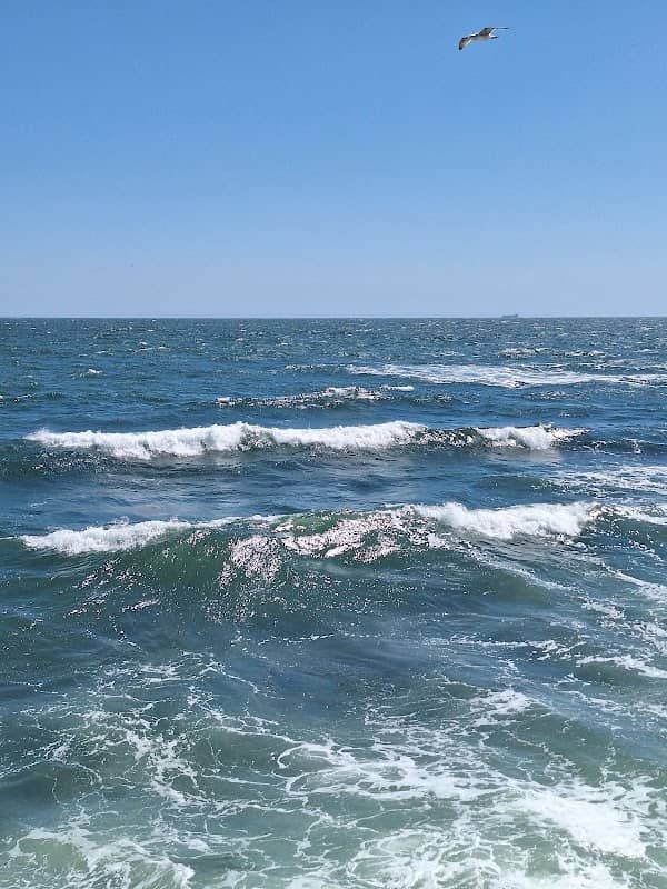 Faleza Constanta - Image 1