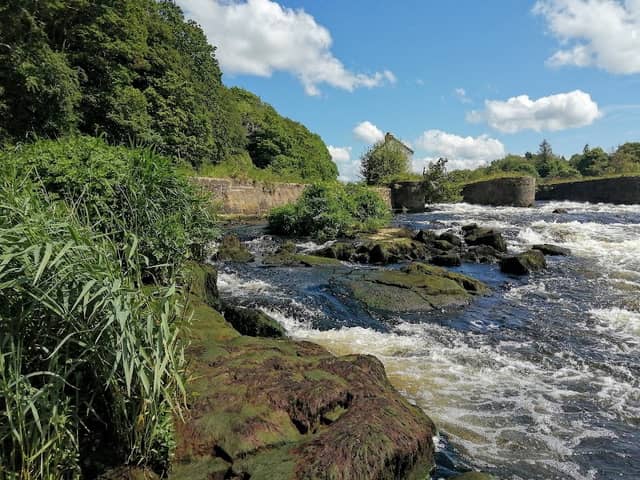 The Cutts - Image 1