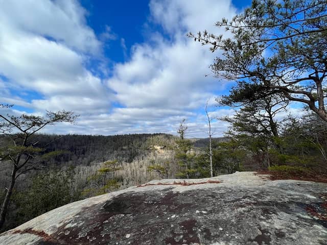 Tarr Ridge Trailhead East and West Loop - Image 1