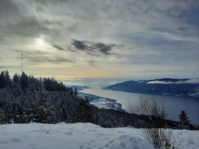 Tower lookout - Image 2