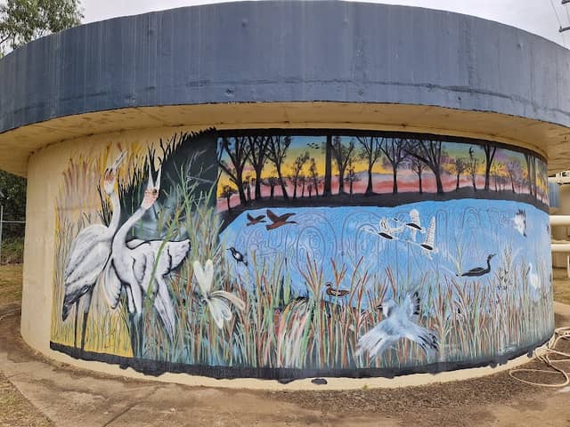 Goondiwindi Water Tank Art - Image 1