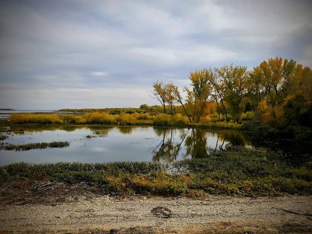 Deer Flat National Wildlife Refuge - Image 1