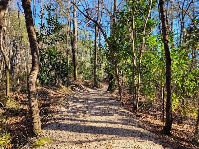 Lillington Botanical Trail - Image 1