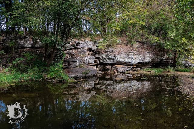 Battle of Carthage State Historic Site - Image 1