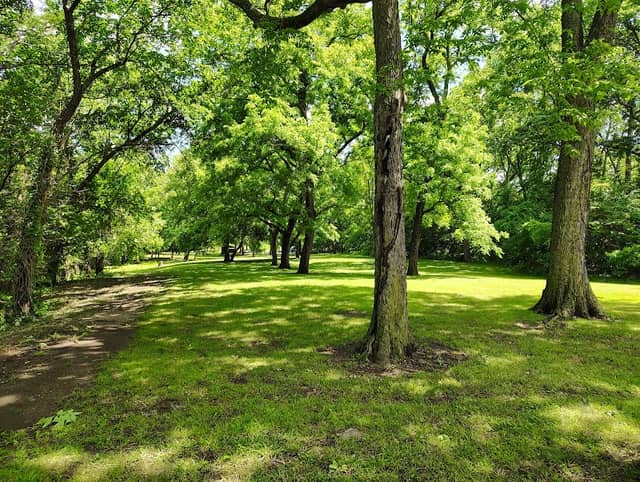 Battle of Carthage State Historic Site - Image 3