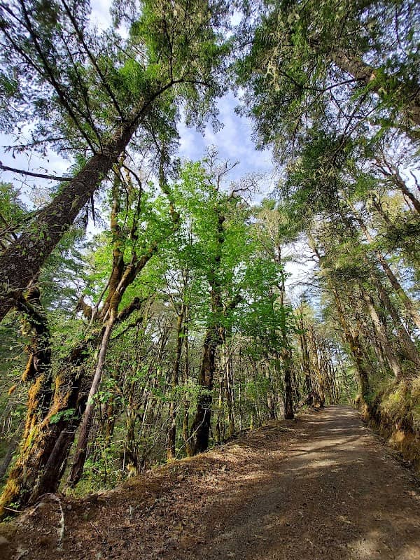 Cardwell Hill E Trailhead - Image 2