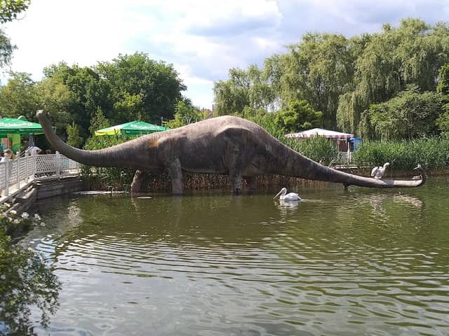 Rostovskiy Zoopark - Image 1