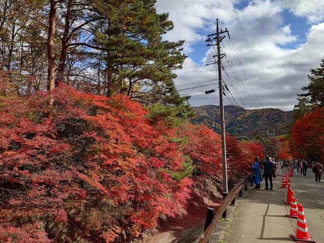 Lake Kawaguchi Maple Corridor - Image 2