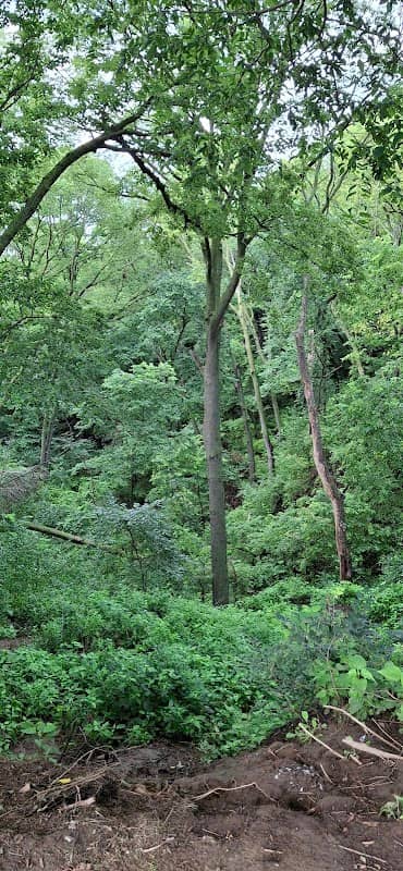 Summit Park - Image 1